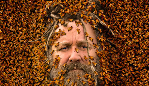 Zaklinacz pszczół - nowy program Discovery Channel 